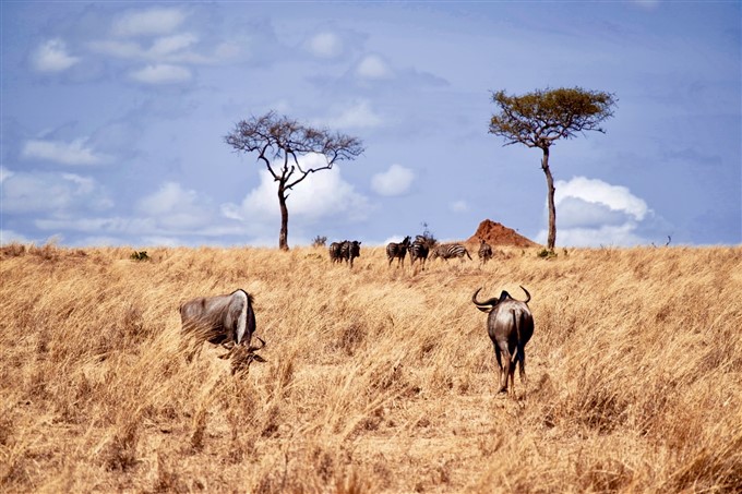 Image Slide